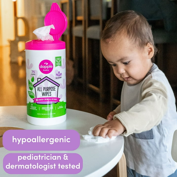 Dapple Baby-Safe All-Purpose Cleaning Wipes 75 ct